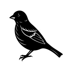 Fototapeta premium Finch Silhouette vector illustration