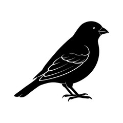 Obraz premium Finch Silhouette vector illustration