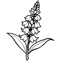 Minimal Snapdragon Vector on White