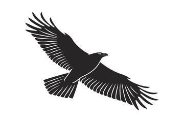 Graceful raven with outstretched wings, vector image on a white background