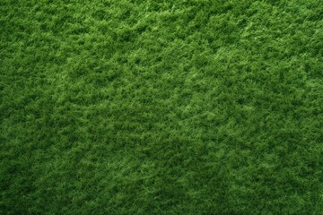 Close-up of a lush, green, textured surface resembling short grass or felt.