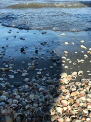 stones on the beach