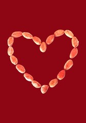 Heart made with dried cocoa seeds