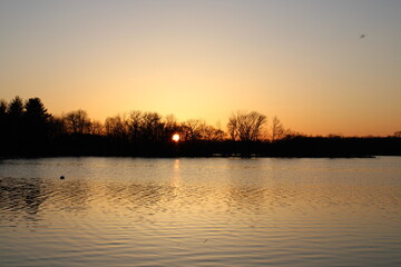 sunset on the river