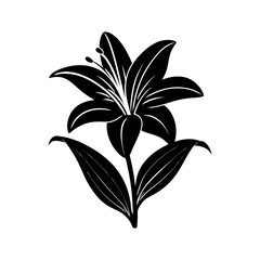 Easter Lily Silhouette vector illustration