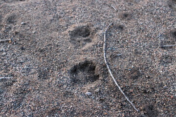sand on the beach