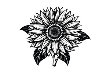 Sunflower Victorian vector illustration  