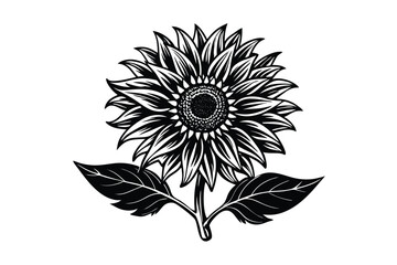 Sunflower Victorian vector illustration  