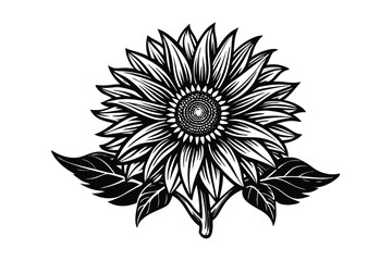 Sunflower Victorian vector illustration  