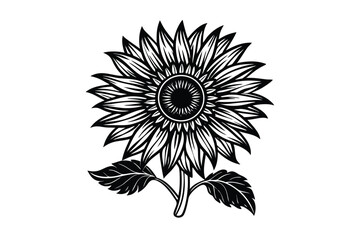 Fototapeta premium Sunflower Victorian vector illustration 