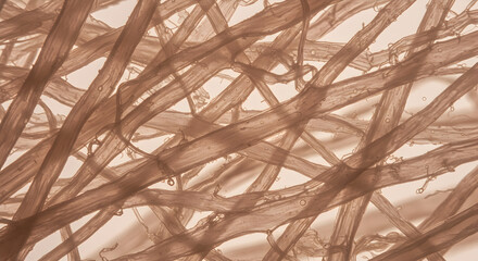 Interwoven Fibers Displaying A Complex Structure Close Up In Brown Hue