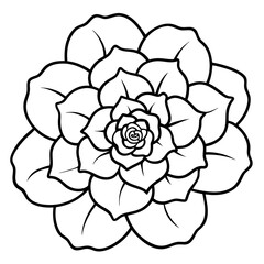 Minimal Begonia Vector on White