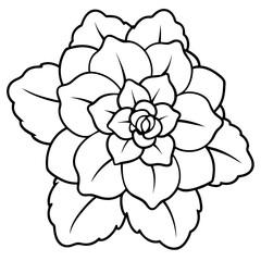 Minimal Begonia Vector on White