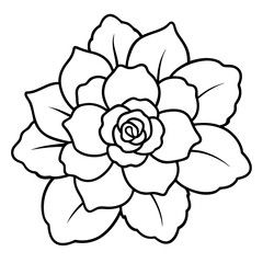 Minimal Begonia Vector on White