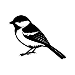 Obraz premium Chickadee Silhouette illustration