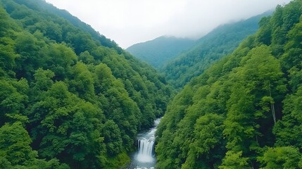 Lush green valley with cascading waterfall, misty mountains