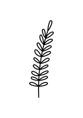 Minimal hand drawn botanical element. Simple doodle leaf branch symbolizing growth, balance and natural beauty. Vector illustration on an isolated background.