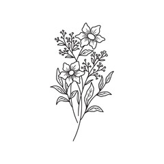 Flower bouquet vector. Hand drawn flower. Wildflower line art bouquets, wild plant, botanical vector illustration