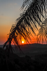 Beautiful landscape of a sunset with leaves in the middle

