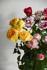 カラフルなばら