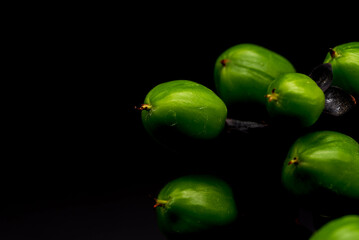 緑のヒペリカムの実