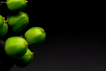 緑のヒペリカムの実