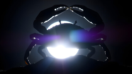 Mystical Celestial Crab: The Spirit of Cancer