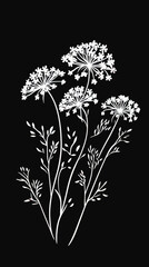 Minimalist Queen Anne's Lace Vector SVG for Cutting and Printing Designs