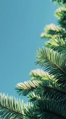 Obraz premium Fresh Green Spruce Branches with Needles Against Teal Sky, Nature Detail