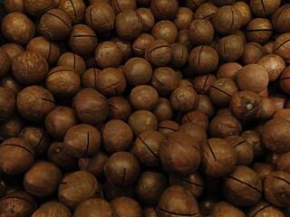 hazelnuts on a wooden background