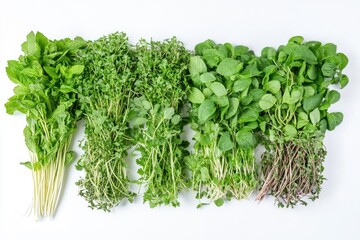 Fresh herbs arranged on white background (1)