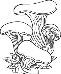 Line Art Mushroom outline eage