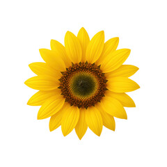 Fototapeta premium Bright sunflower with vibrant yellow petals and dark center, symbolizing warmth and positivity. Perfect for nature themed designs