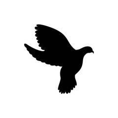Flying bird silhouette isolated on white background. Vector illustration