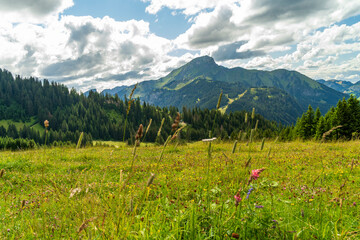 La belle montagne &agrave; Chatel, France, en &eacute;t&eacute;