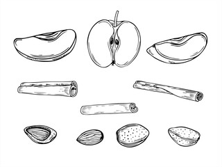 Apple slices, almond and cinnamon sticks set line art black ink sketch. Food ingredients monochrome illustration. Aromatic seasoning for healthy eating, making pies, dessert and drinks design