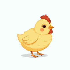 cute chick cock on white background