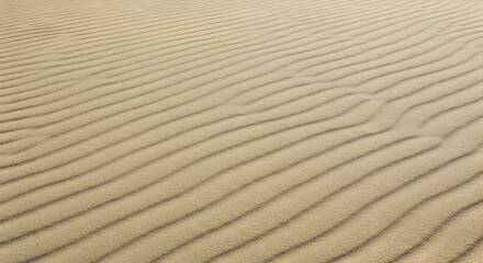 Obraz premium Rhythmic Sand Ripples Textured Desert Landscape with Smooth Undulating Patterns