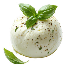 Fresh italian burrata cheese ball with basil leaves on black background on transparent background