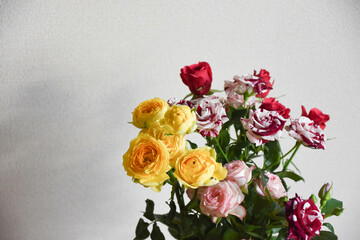 カラフルなばら