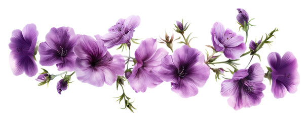 PNG Purple flowers delicate floral arrangement
