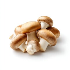 Fototapeta premium A group of fresh cremini mushrooms isolated on a clean white background
