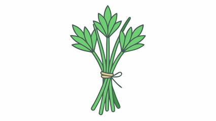 A bunch of fresh green onion leaves, an isolated and healthy herbal ingredient