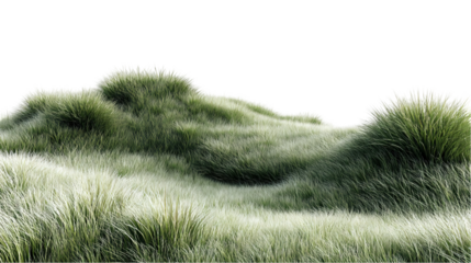  grassland prairie terrain isolated diecut 