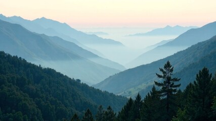 Obraz premium Misty morning view of pine-covered mountain valley with layered blue ridges.