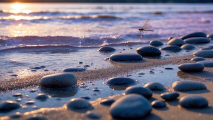 Dragonfly Flying Over Rocks on Sandy Beach at Sunset Light