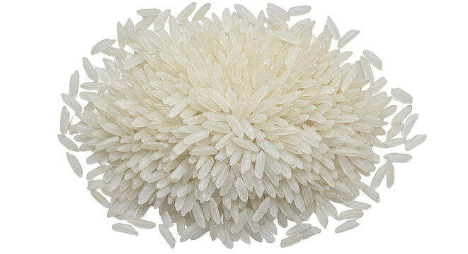 A dense ivory cluster of rice grains radiating on stark black a visual feast