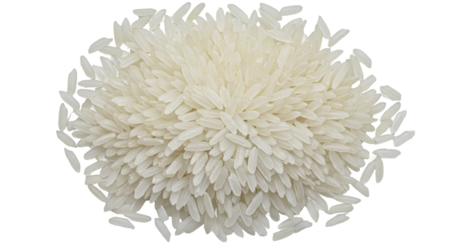 A dense ivory cluster of rice grains radiating on stark black a visual feast