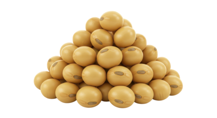 A pyramid of soy beans