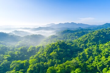 Lush green mountain range shrouded in morning mist, sunlight illuminating the vibrant foliage
